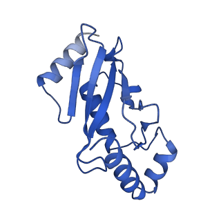 10585_6ttu_D_v1-3
Ubiquitin Ligation to substrate by a cullin-RING E3 ligase at 3.7A resolution: NEDD8-CUL1-RBX1 N98R-SKP1-monomeric b-TRCP1dD-IkBa-UB~UBE2D2