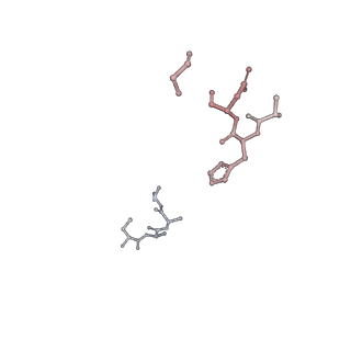 10585_6ttu_I_v1-3
Ubiquitin Ligation to substrate by a cullin-RING E3 ligase at 3.7A resolution: NEDD8-CUL1-RBX1 N98R-SKP1-monomeric b-TRCP1dD-IkBa-UB~UBE2D2