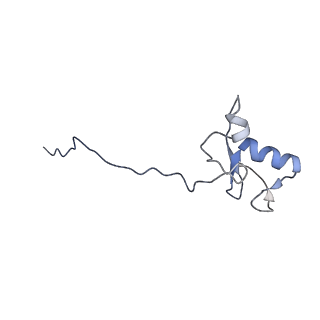 10585_6ttu_R_v1-3
Ubiquitin Ligation to substrate by a cullin-RING E3 ligase at 3.7A resolution: NEDD8-CUL1-RBX1 N98R-SKP1-monomeric b-TRCP1dD-IkBa-UB~UBE2D2