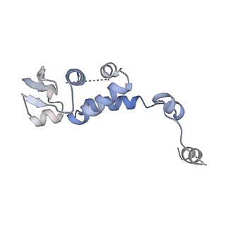 10585_6ttu_S_v1-3
Ubiquitin Ligation to substrate by a cullin-RING E3 ligase at 3.7A resolution: NEDD8-CUL1-RBX1 N98R-SKP1-monomeric b-TRCP1dD-IkBa-UB~UBE2D2