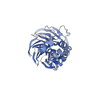 10585_6ttu_T_v1-3
Ubiquitin Ligation to substrate by a cullin-RING E3 ligase at 3.7A resolution: NEDD8-CUL1-RBX1 N98R-SKP1-monomeric b-TRCP1dD-IkBa-UB~UBE2D2