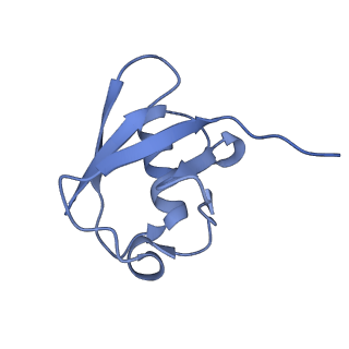 10585_6ttu_U_v1-3
Ubiquitin Ligation to substrate by a cullin-RING E3 ligase at 3.7A resolution: NEDD8-CUL1-RBX1 N98R-SKP1-monomeric b-TRCP1dD-IkBa-UB~UBE2D2