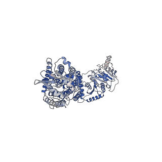 26115_7tth_A_v1-1
Human potassium-chloride cotransporter 1 in inward-open state
