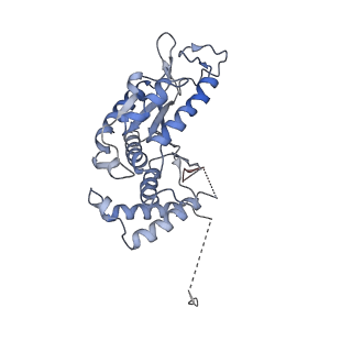 26120_7ttn_A_v1-0
The beta-tubulin folding intermediate II