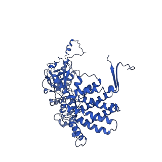 26120_7ttn_G_v1-0
The beta-tubulin folding intermediate II