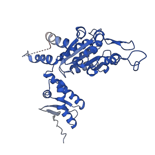 26121_7ttr_C_v1-1
Skd3_ATPyS_FITC-casein Hexamer, AAA+ only