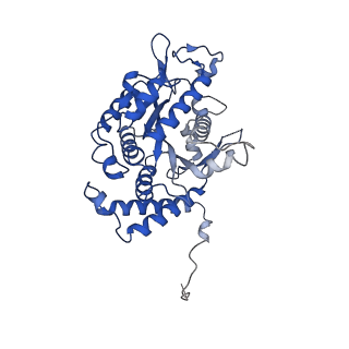 26123_7ttt_A_v1-0
The beta-tubulin folding intermediate III