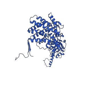 26123_7ttt_C_v1-0
The beta-tubulin folding intermediate III