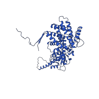 26123_7ttt_D_v1-0
The beta-tubulin folding intermediate III