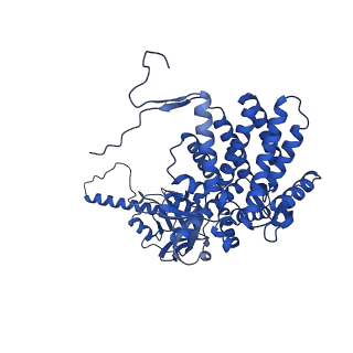 26123_7ttt_E_v1-0
The beta-tubulin folding intermediate III