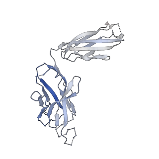 41613_8ttw_C_v1-0
Cryo-EM structure of BG505 SOSIP.664 HIV-1 Env trimer in complex with temsavir, 8ANC195, and 10-1074