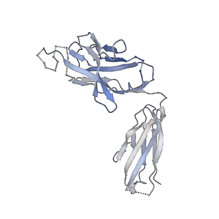 41613_8ttw_G_v1-0
Cryo-EM structure of BG505 SOSIP.664 HIV-1 Env trimer in complex with temsavir, 8ANC195, and 10-1074