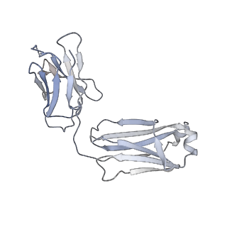 41613_8ttw_H_v1-0
Cryo-EM structure of BG505 SOSIP.664 HIV-1 Env trimer in complex with temsavir, 8ANC195, and 10-1074
