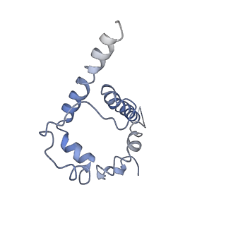 41613_8ttw_J_v1-0
Cryo-EM structure of BG505 SOSIP.664 HIV-1 Env trimer in complex with temsavir, 8ANC195, and 10-1074