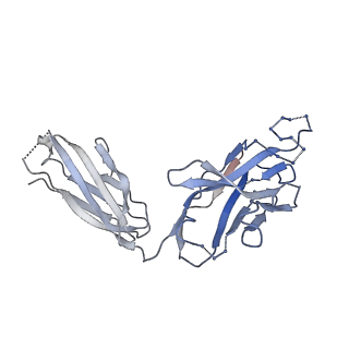 41613_8ttw_K_v1-0
Cryo-EM structure of BG505 SOSIP.664 HIV-1 Env trimer in complex with temsavir, 8ANC195, and 10-1074