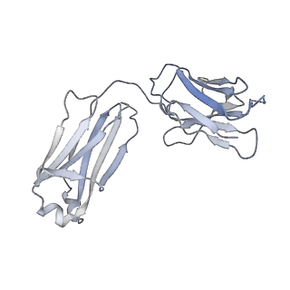 41613_8ttw_L_v1-0
Cryo-EM structure of BG505 SOSIP.664 HIV-1 Env trimer in complex with temsavir, 8ANC195, and 10-1074