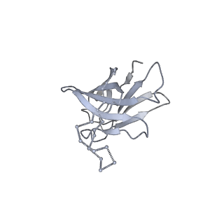 41613_8ttw_O_v1-0
Cryo-EM structure of BG505 SOSIP.664 HIV-1 Env trimer in complex with temsavir, 8ANC195, and 10-1074