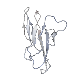 41613_8ttw_P_v1-0
Cryo-EM structure of BG505 SOSIP.664 HIV-1 Env trimer in complex with temsavir, 8ANC195, and 10-1074