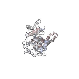 8467_5ttp_A_v1-2
Cryo-EM structure of MsbA-nanodisc with ADP-vanadate