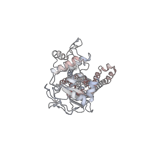 8467_5ttp_A_v1-3
Cryo-EM structure of MsbA-nanodisc with ADP-vanadate