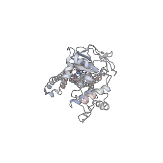 8467_5ttp_B_v1-2
Cryo-EM structure of MsbA-nanodisc with ADP-vanadate