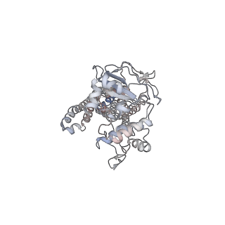 8467_5ttp_B_v1-3
Cryo-EM structure of MsbA-nanodisc with ADP-vanadate
