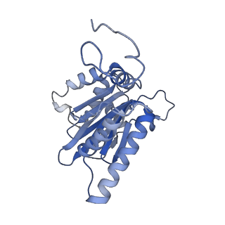 10586_6tu3_A_v1-0
Rat 20S proteasome
