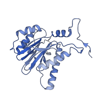 10586_6tu3_B_v1-0
Rat 20S proteasome