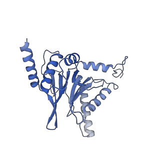 10586_6tu3_C_v1-0
Rat 20S proteasome