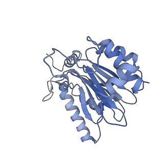10586_6tu3_E_v1-0
Rat 20S proteasome