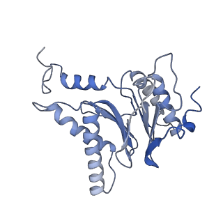 10586_6tu3_F_v1-0
Rat 20S proteasome