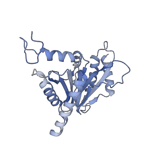 10586_6tu3_G_v1-0
Rat 20S proteasome