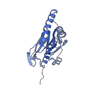10586_6tu3_H_v1-0
Rat 20S proteasome