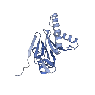 10586_6tu3_I_v1-0
Rat 20S proteasome