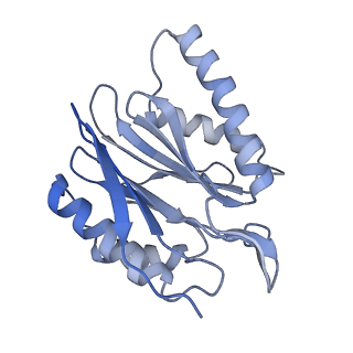 10586_6tu3_J_v1-0
Rat 20S proteasome