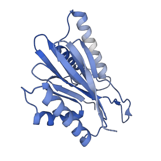 10586_6tu3_K_v1-0
Rat 20S proteasome