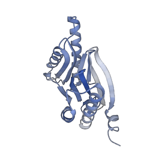 10586_6tu3_L_v1-0
Rat 20S proteasome