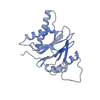 10586_6tu3_M_v1-0
Rat 20S proteasome