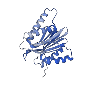 10586_6tu3_N_v1-0
Rat 20S proteasome