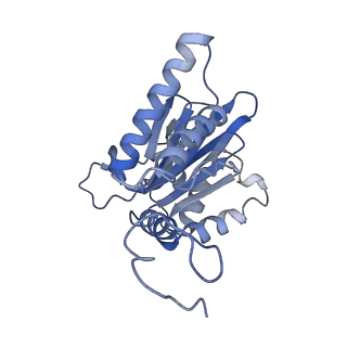 10586_6tu3_O_v1-0
Rat 20S proteasome