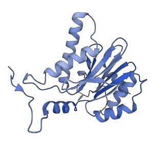 10586_6tu3_P_v1-0
Rat 20S proteasome