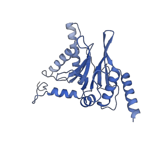 10586_6tu3_Q_v1-0
Rat 20S proteasome