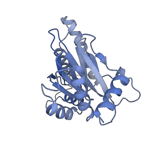 10586_6tu3_R_v1-0
Rat 20S proteasome