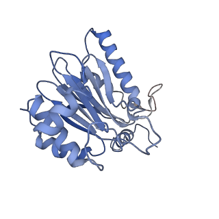 10586_6tu3_S_v1-0
Rat 20S proteasome