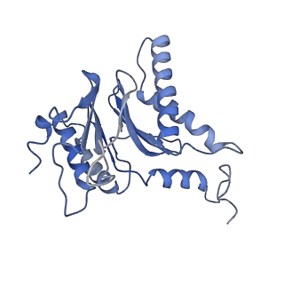10586_6tu3_T_v1-0
Rat 20S proteasome