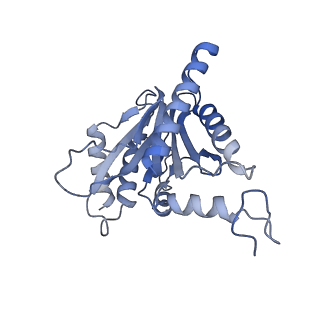 10586_6tu3_U_v1-0
Rat 20S proteasome