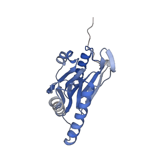 10586_6tu3_V_v1-0
Rat 20S proteasome