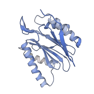 10586_6tu3_X_v1-0
Rat 20S proteasome