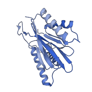 10586_6tu3_Y_v1-0
Rat 20S proteasome