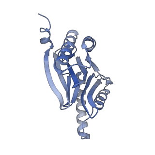 10586_6tu3_Z_v1-0
Rat 20S proteasome
